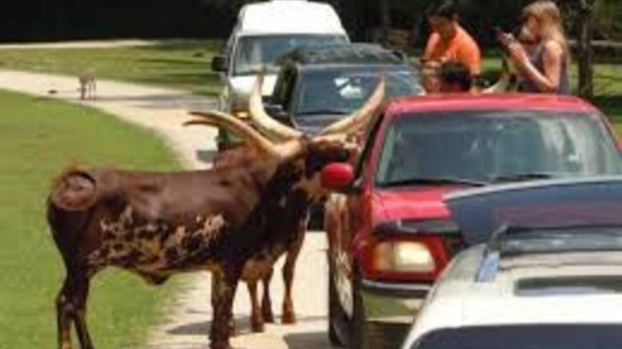 Photo of Others in Mooresville