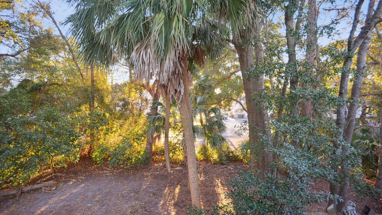 Photo of Outdoor in Hilton Head Island