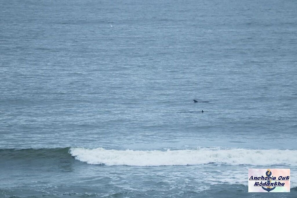 Photo of Others in Rodanthe