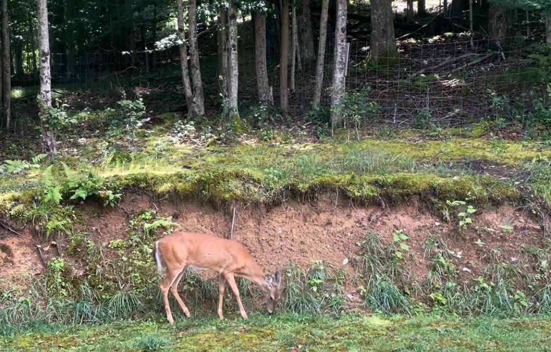 Photo of Others in Charter Hills