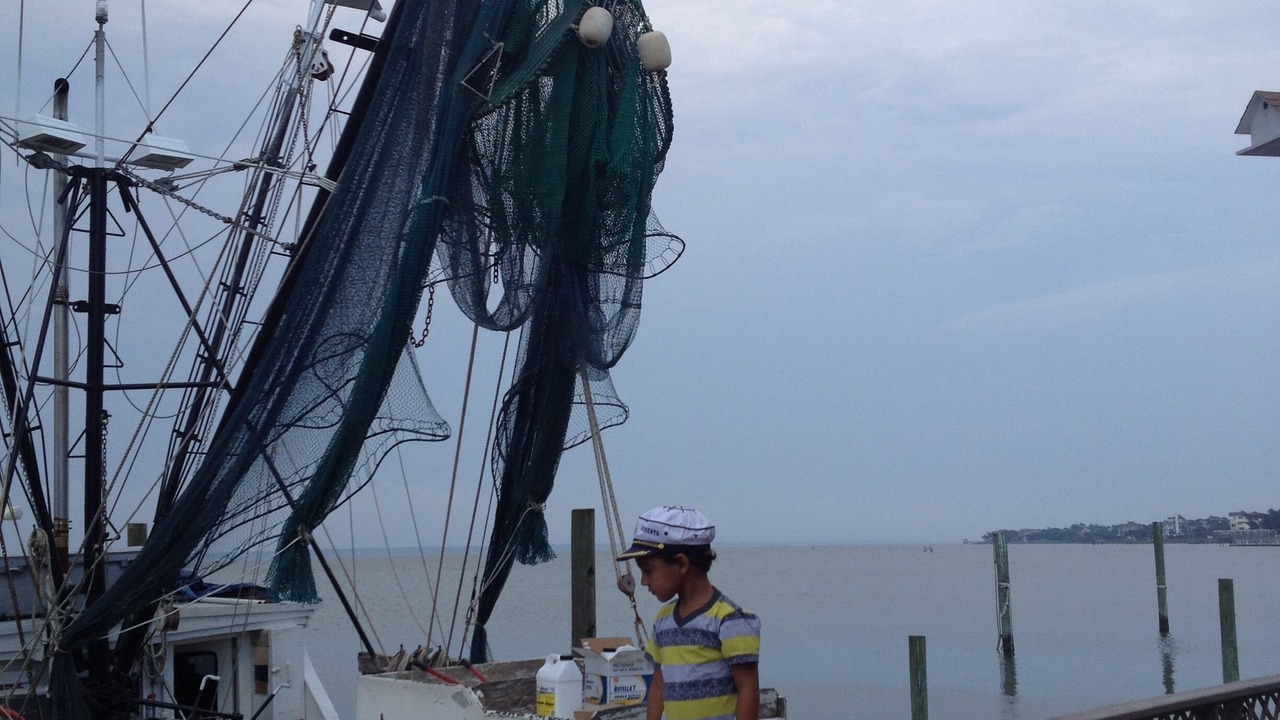 Photo of Others in Swansboro