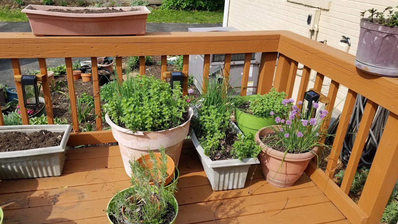 Photo of Outdoor in Green Hills