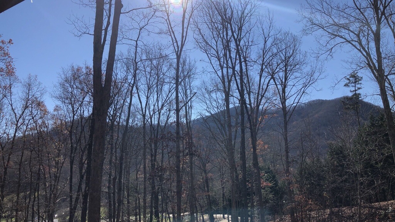 Photo of Others in Candler