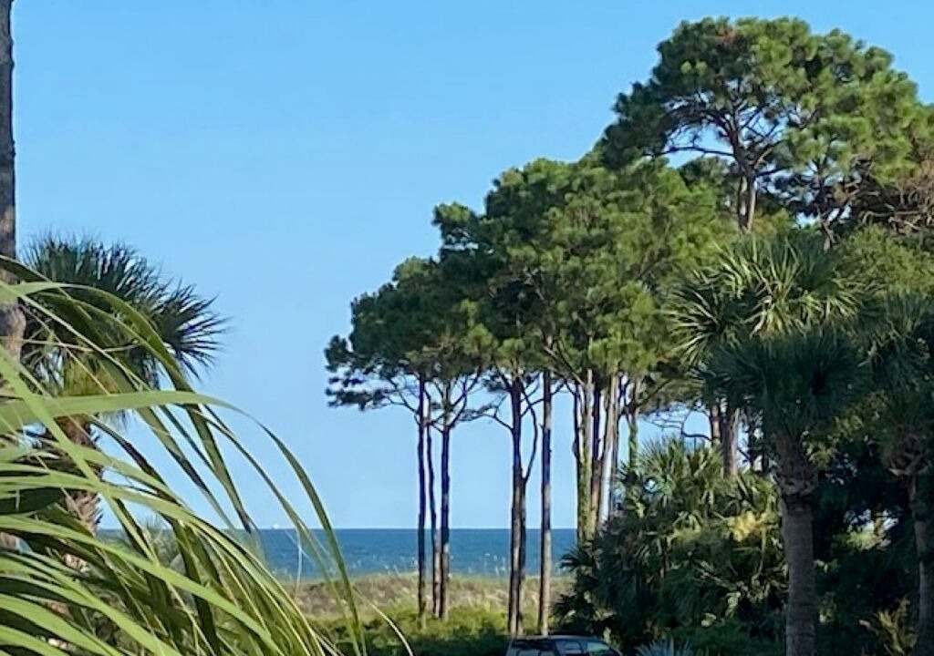 Photo of Others in Hilton Head Island