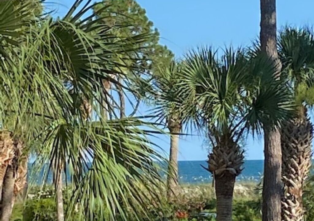 Photo of Others in Hilton Head Island