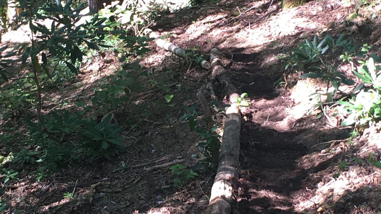 Photo of Outdoor in Deep Gap