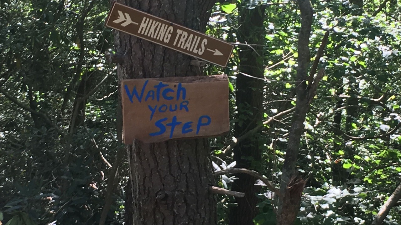 Photo of Outdoor in Deep Gap