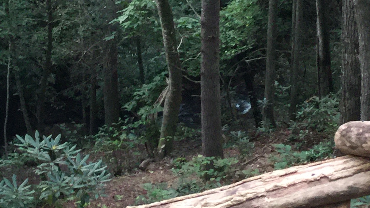 Photo of Outdoor in Deep Gap