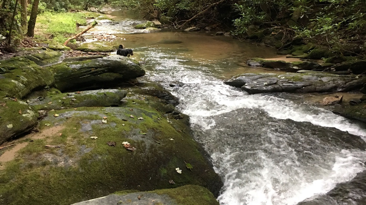 Photo of Outdoor in Deep Gap