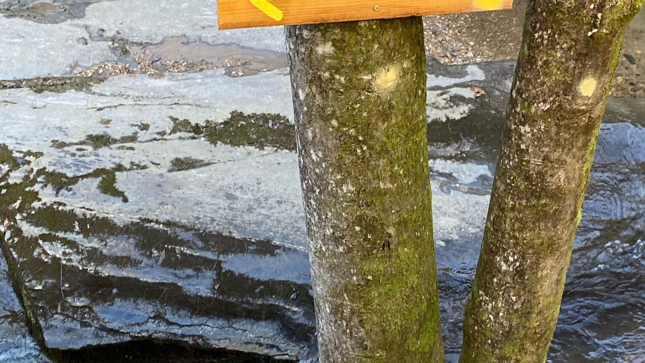 Photo of Outdoor in Deep Gap
