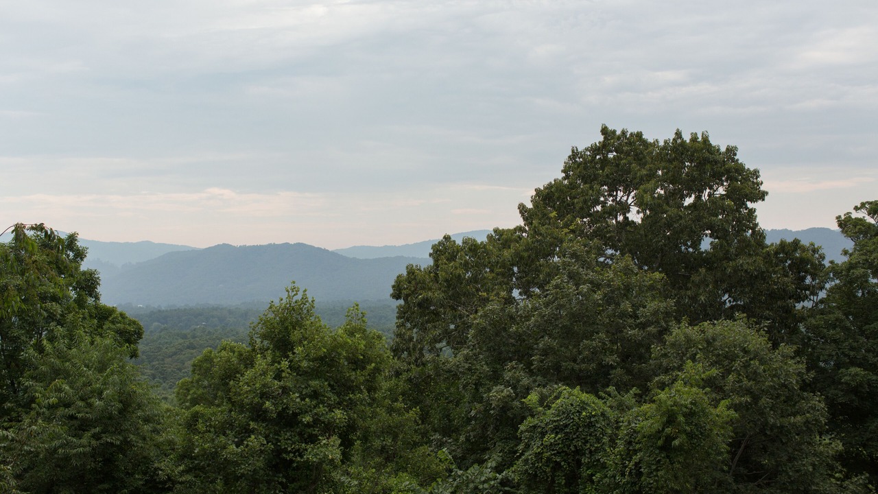Photo of Others in Royal Pines