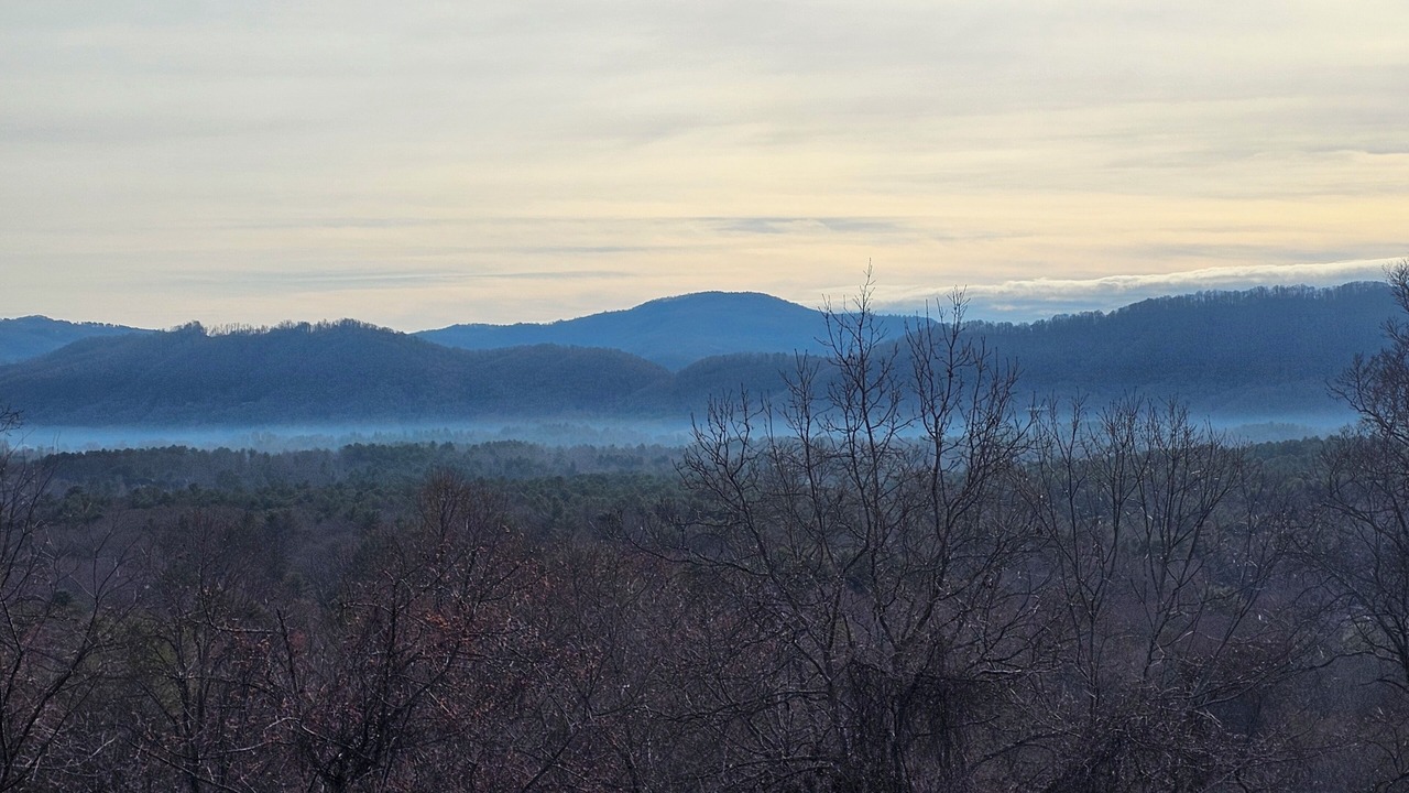 Photo of Others in Royal Pines