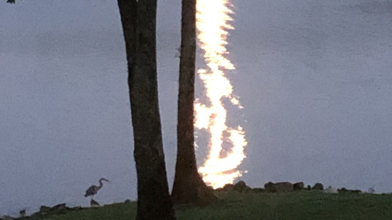 Photo of Outdoor in Claremont