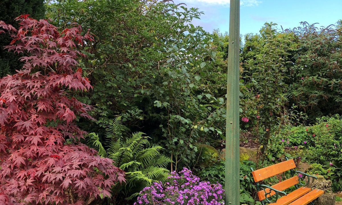 Photo of Outdoor in North Bitchburn