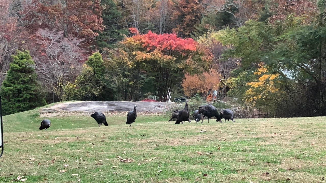 Photo of Others in Valley Hill