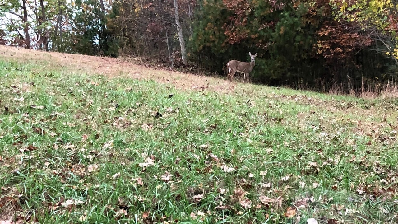 Photo of Others in Valley Hill