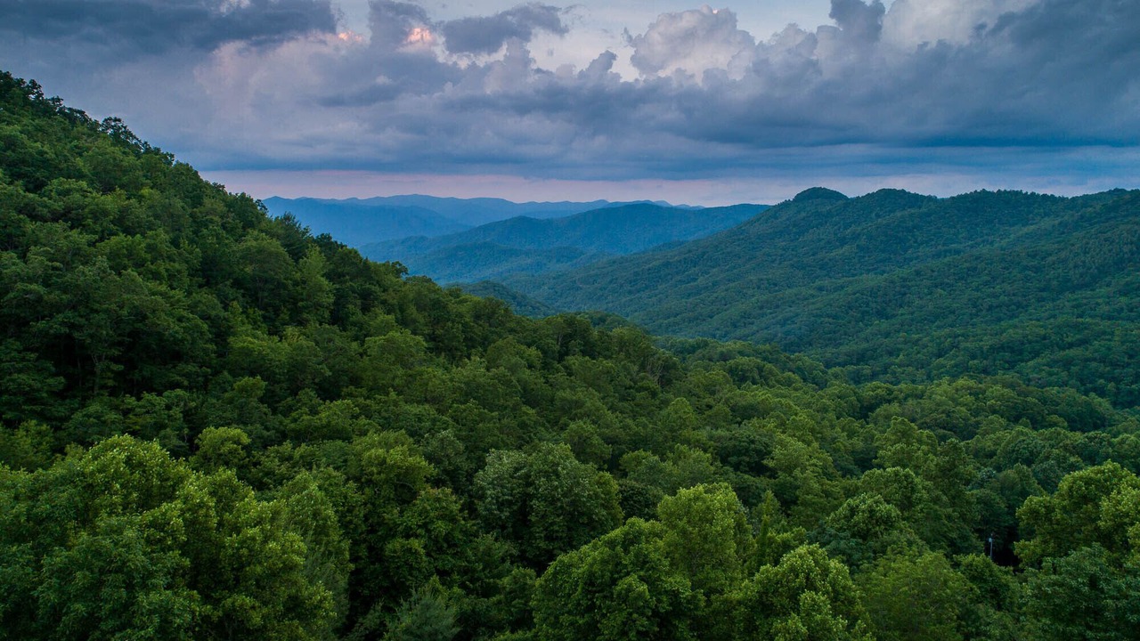 Photo of Others in Cullowhee