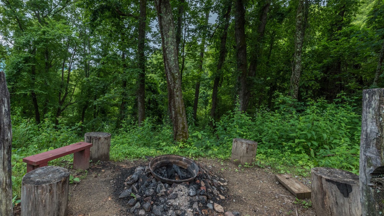 Photo of Outdoor in Fletcher