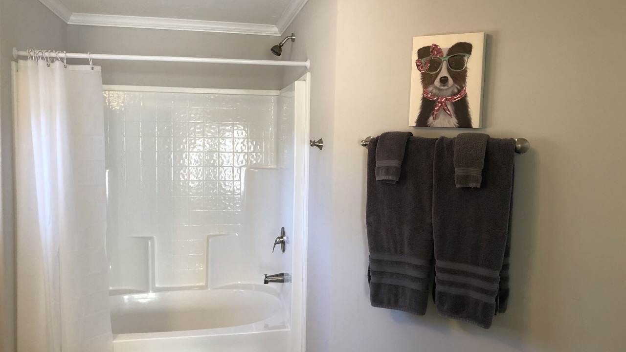 Photo of Bathroom in Candler