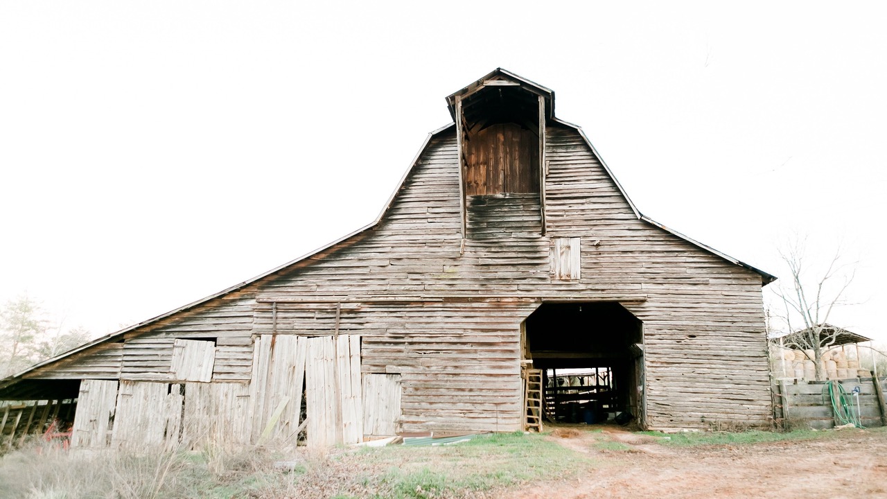 Photo of Outdoor in Casar