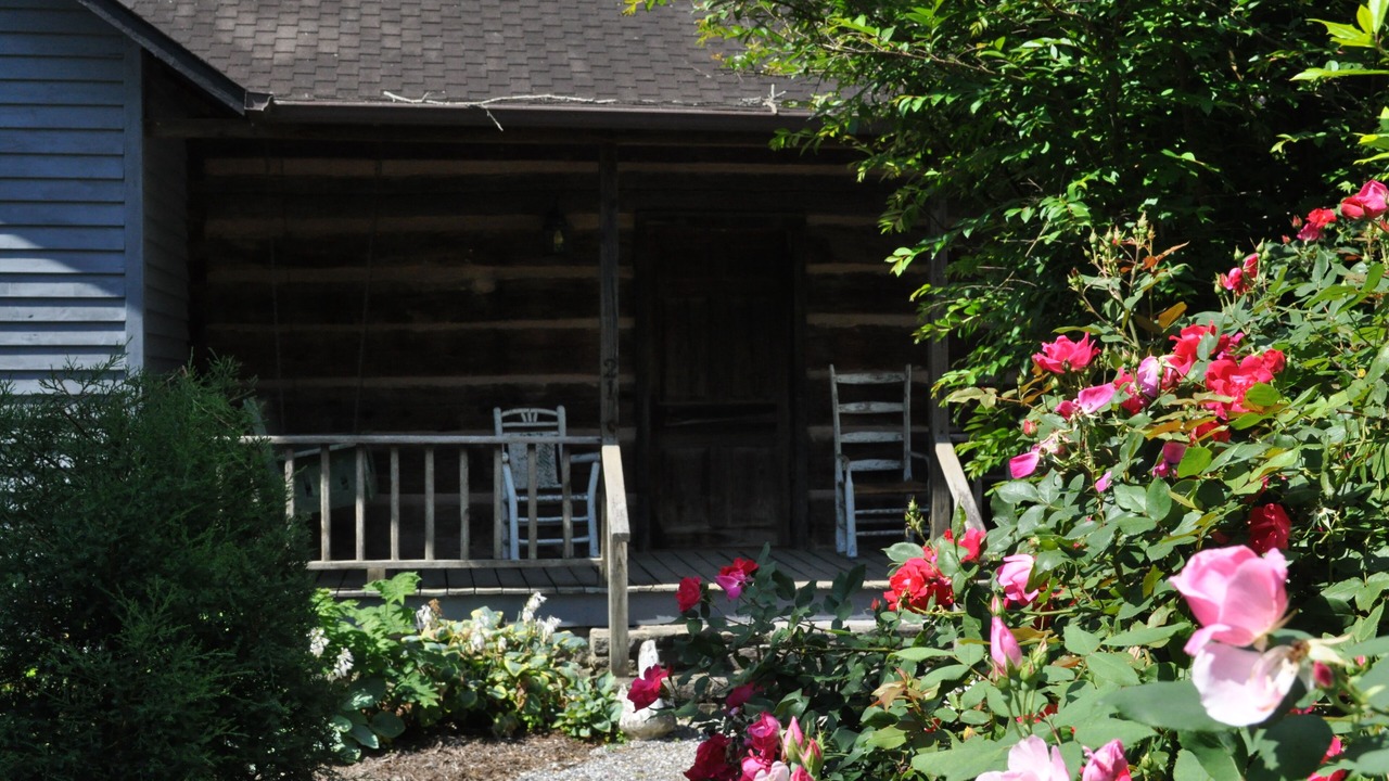 Photo of Outdoor in Weaverville
