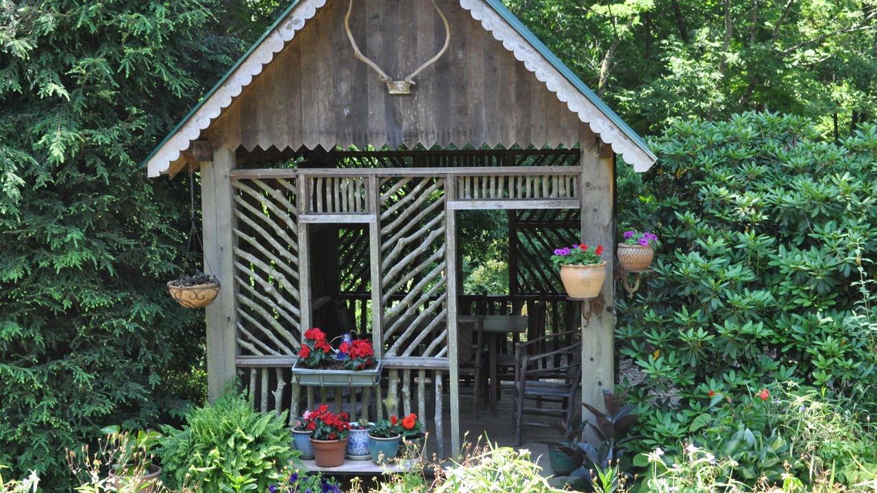 Photo of Outdoor in Weaverville