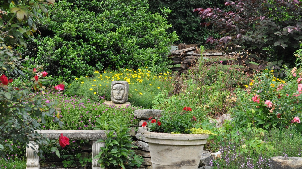 Photo of Outdoor in Weaverville