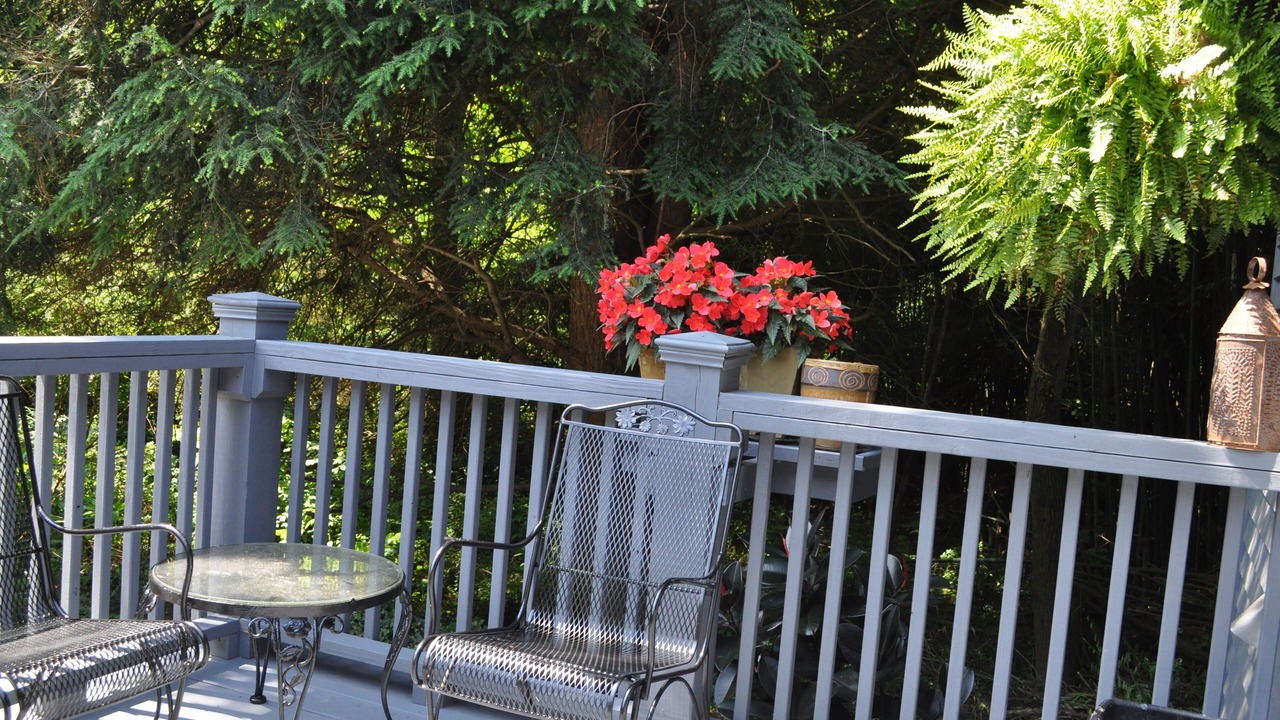 Photo of Outdoor in Weaverville
