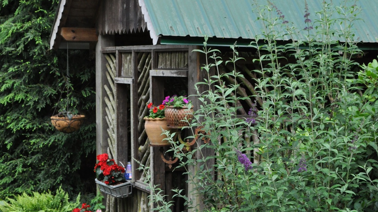 Photo of Outdoor in Weaverville
