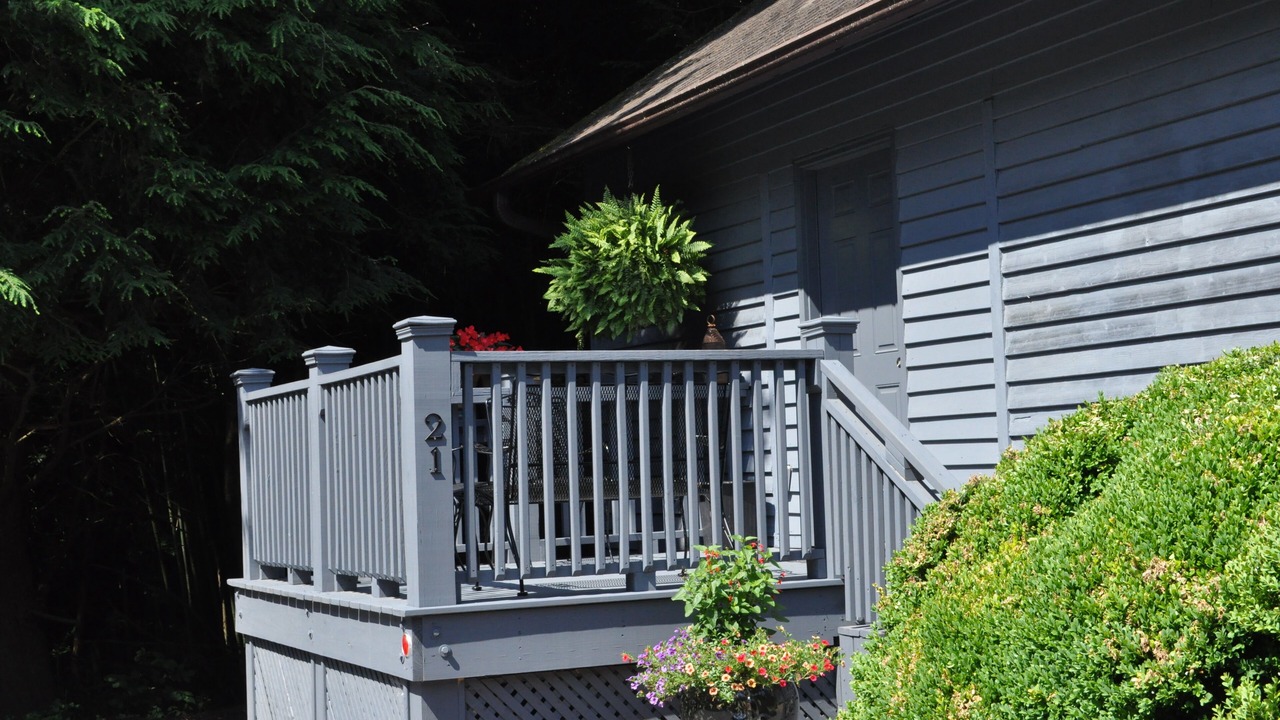 Photo of Outdoor in Weaverville