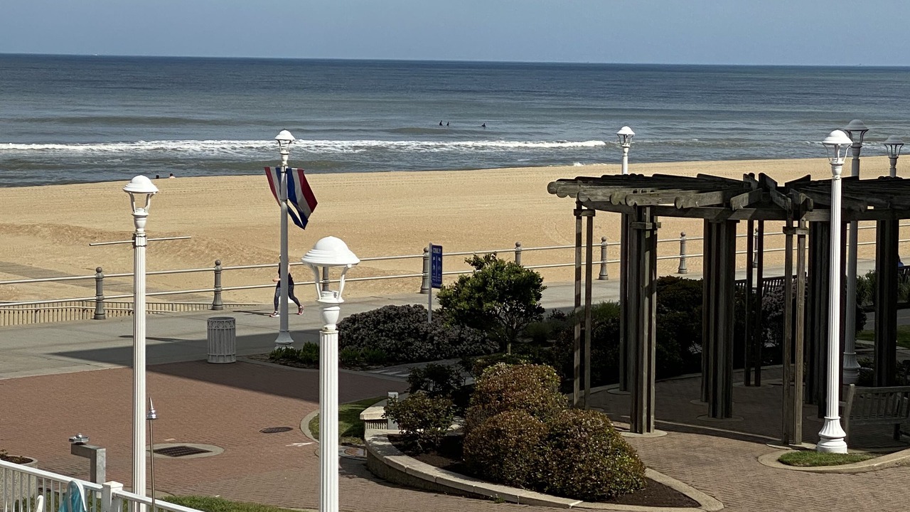 Photo of Others in Northeast Virginia Beach