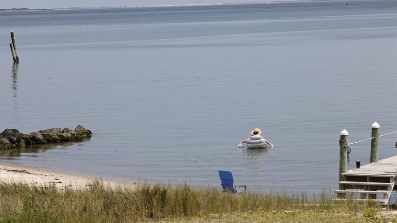 Photo of Others in Sealevel