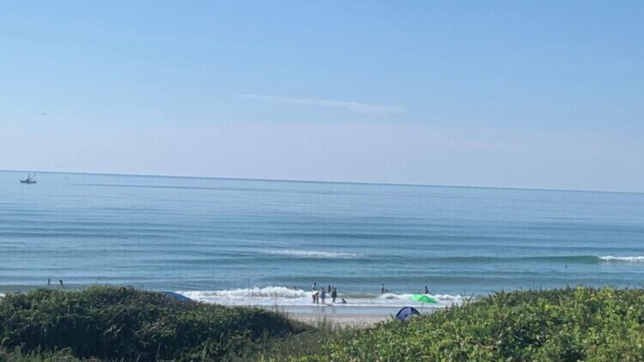 Photo of Others in Indian Beach