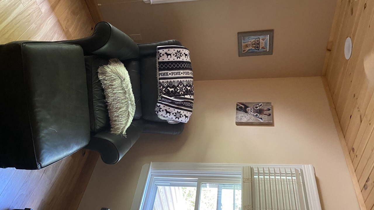 Photo of Livingroom in Pineola