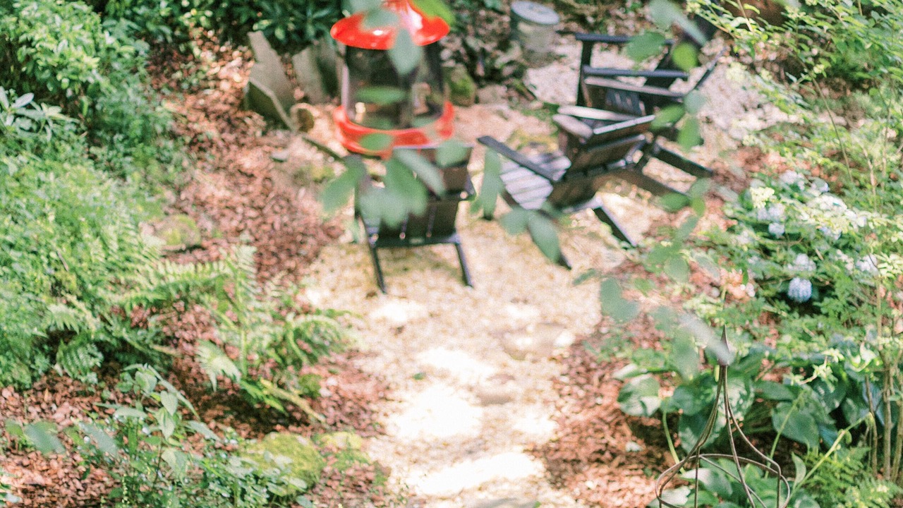 Photo of Outdoor in Highlands