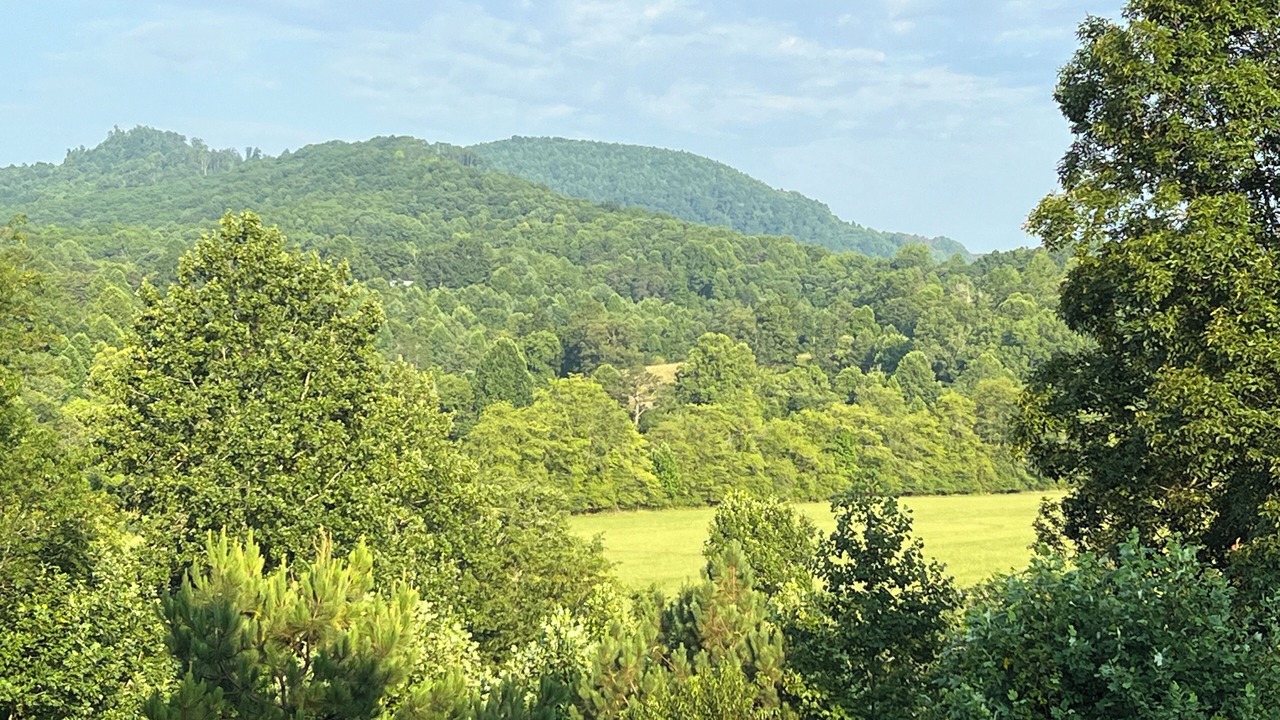 Photo of Others in Murphy