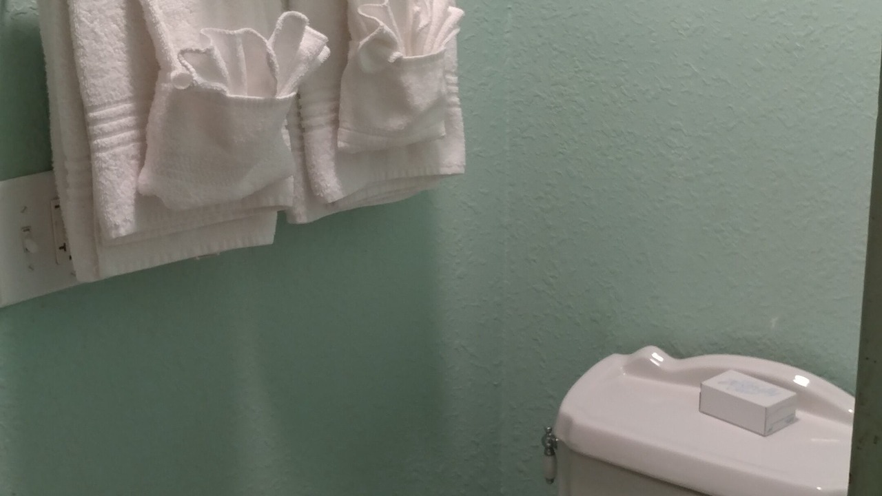 Photo of Bathroom in Cullowhee