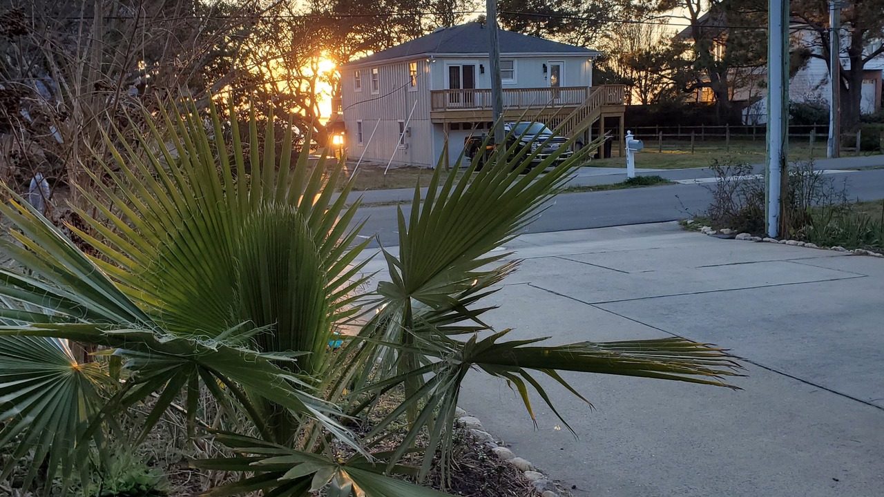 Photo of Outdoor in Colington