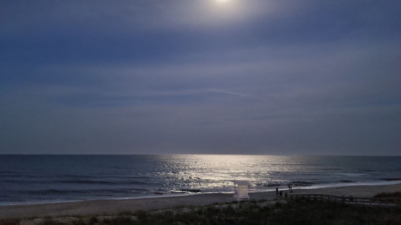 Photo of Others in Wilmington Beach