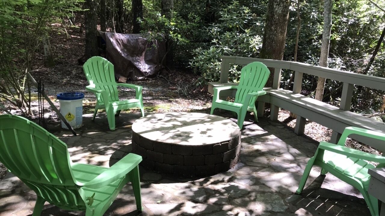 Photo of Others in Pisgah Forest