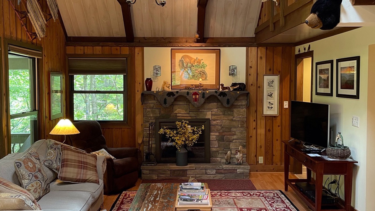 Photo of Livingroom in Pisgah Forest