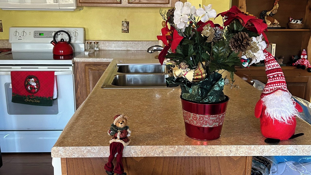 Photo of Kitchen in Hendersonville