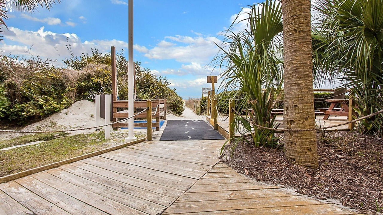 Photo of Outdoor in Ash