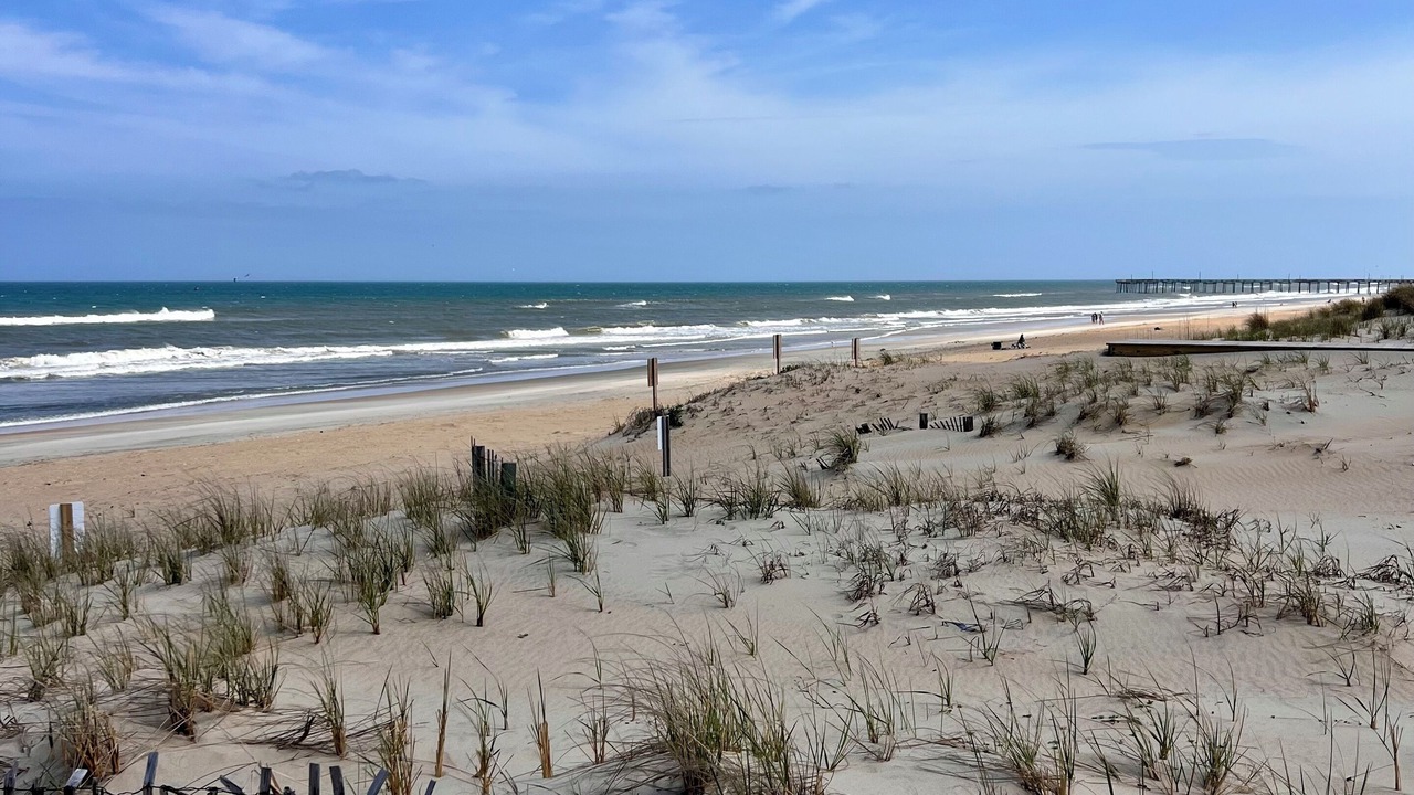 Photo of Others in South Nags Head