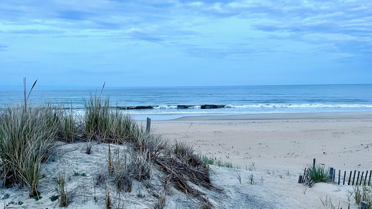 Photo of Others in South Nags Head