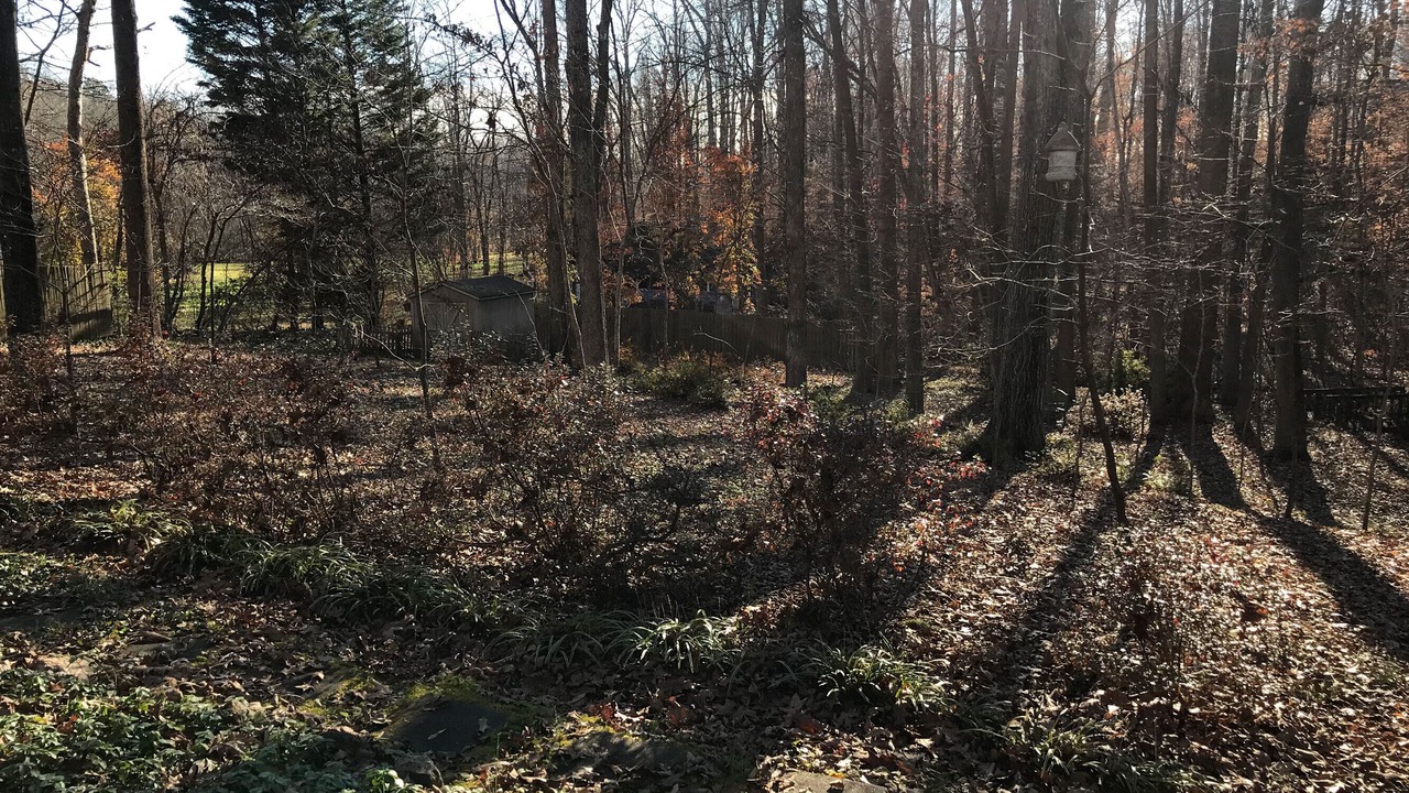 Photo of Outdoor in High Point