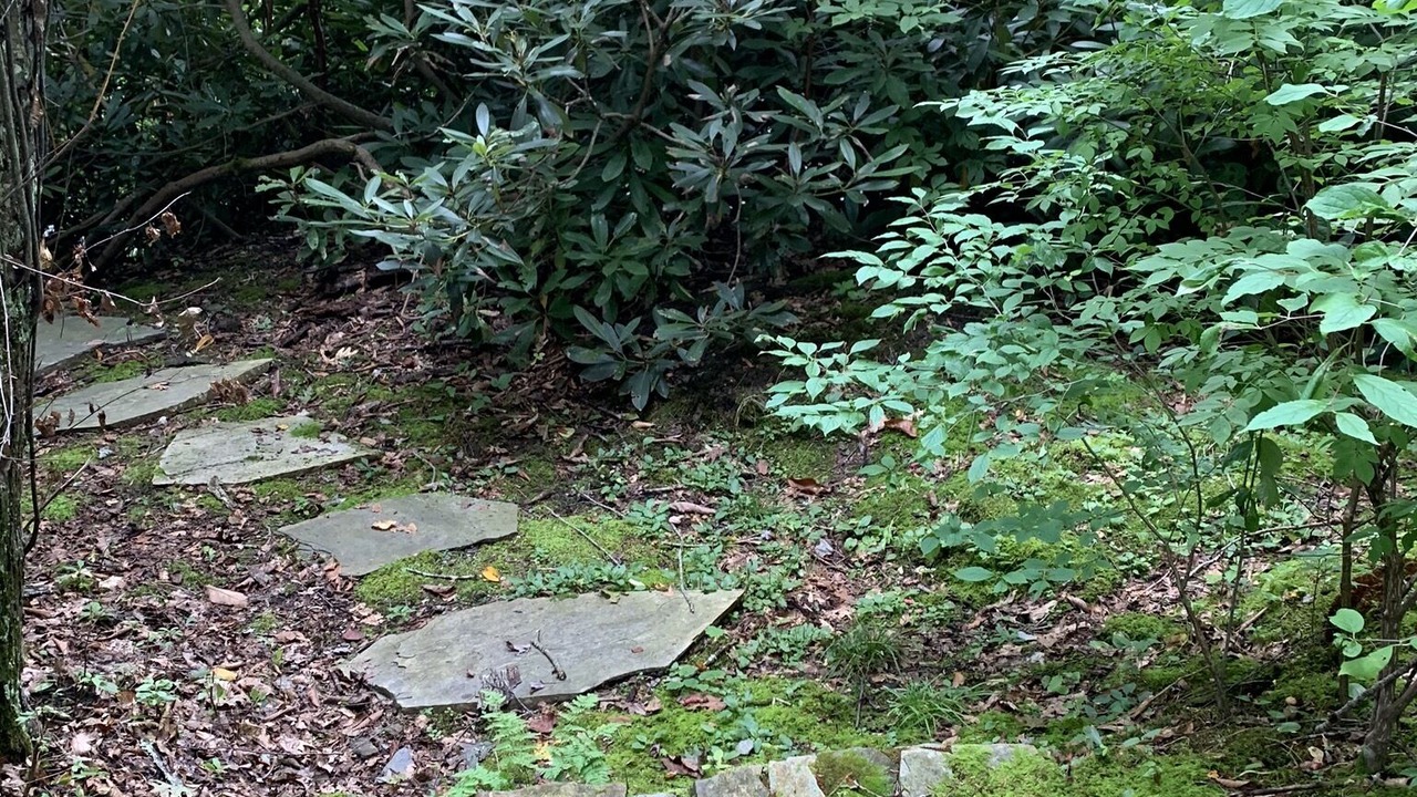 Photo of Outdoor in Newland