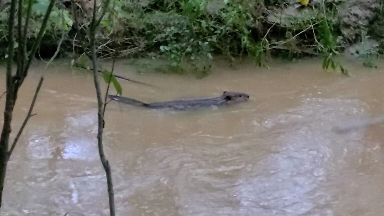 Photo of Others in Waxhaw