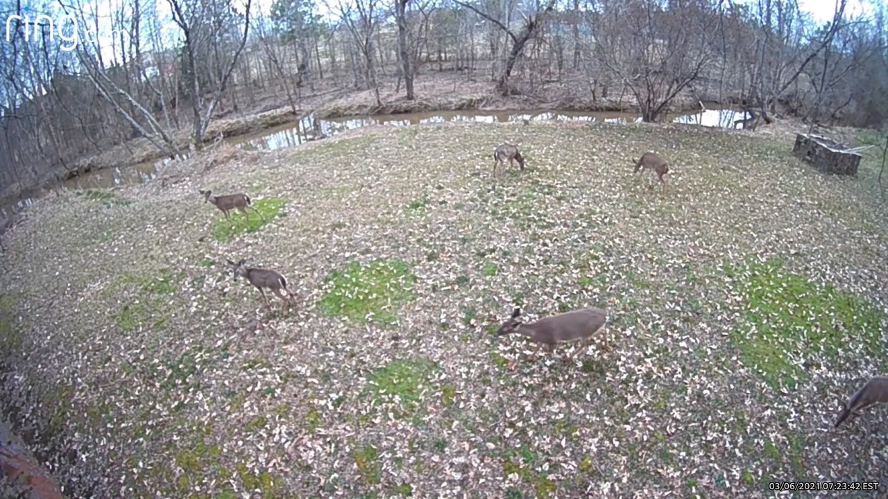 Photo of Others in Waxhaw