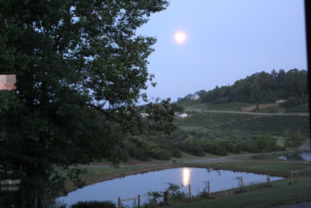 Photo of Others in Hendersonville